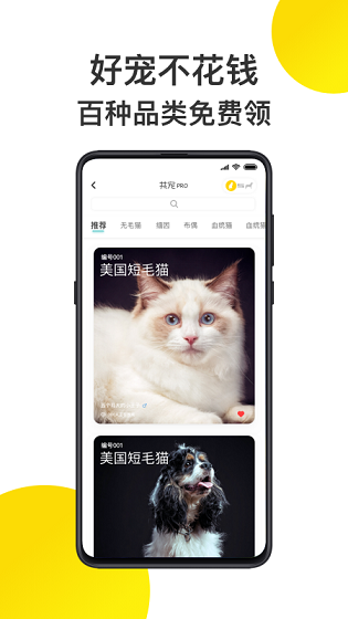 共宠安卓版宣传图3